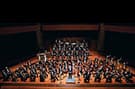 From Beeps to Beethoven - Video Game Music
