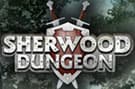 Sherwood Dungeon Review