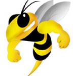 The Real MrBee's picture