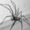 Spidermage's picture